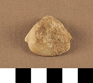 Thumbnail of Figurine Fragment, Head, "Stargazer"  (2002.14.0066)