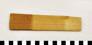 Thumbnail of Blow Gun Dart Stick (2013.04.0117C)
