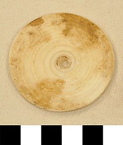 Thumbnail of Conus Shell Pendant (2013.05.1774A)