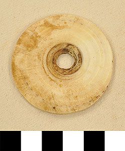 Thumbnail of Conus Shell Pendant (2013.05.1774B)