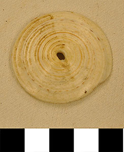 Thumbnail of Conus Shell Pendant (2013.05.1774G)