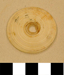Thumbnail of Conus Shell Pendant (2013.05.1774H)