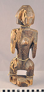 Thumbnail of Figure (2014.03.0058)