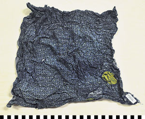 Thumbnail of Fabric Fragment (2014.03.0940)