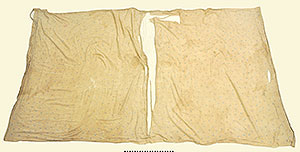 Thumbnail of Fabric Fragment (2014.03.0952)