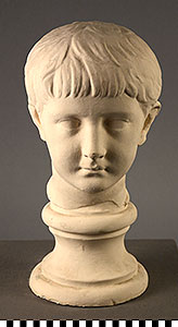 Thumbnail of Plaster Cast: Portrait Bust of a Julio-Claudian Youth (1900.11.0043)