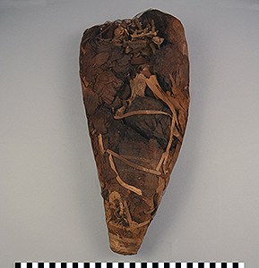Thumbnail of Ibis Mummy (1914.05.0209)