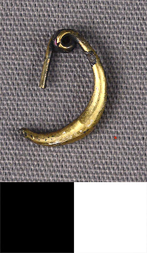 Thumbnail of Fibula (1915.03.0231)