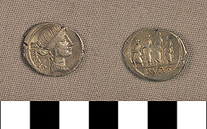 Thumbnail of Coin: Denarius (1919.63.0085)