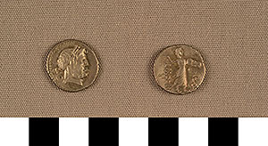 Thumbnail of Coin: Denarius of Rome (1919.63.0737)