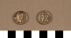 Thumbnail of Coin: Denarius Serratus of Rome (1919.63.0738)