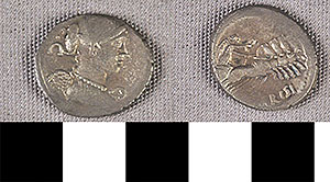 Thumbnail of Coin: Roman Republic, Denarius (1919.63.0761)