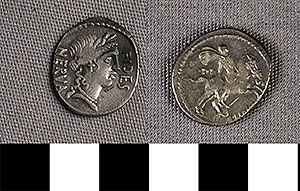 Thumbnail of Coin: Roman Republic, Denarius (1919.63.0782)
