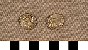 Thumbnail of Coin: Denarius of Rome (1919.63.0784)