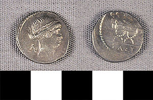 Thumbnail of Coin: Roman Republic, Denarius (1919.63.0785)