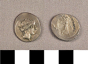 Thumbnail of Coin: Roman Republic, Denarius (1919.63.0801)