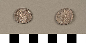 Thumbnail of Coin: Denarius of Rome (1919.63.0810)