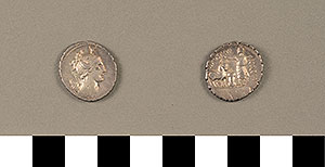 Thumbnail of Coin: Denarius Serratus of Rome (1919.63.0823)