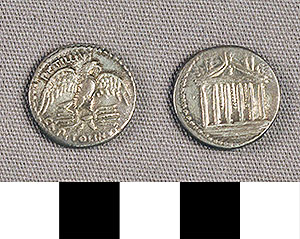 Thumbnail of Coin: Roman Republic, Denarius (1919.63.0856)