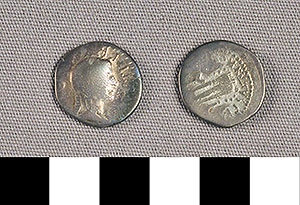Thumbnail of Coin: Roman Republic, Denarius (1919.63.0886)