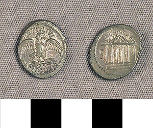 Thumbnail of Coin: Roman Republic, Denarius (1919.63.0893)