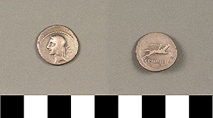Thumbnail of Coin: Denarius of Rome (1919.63.0898)