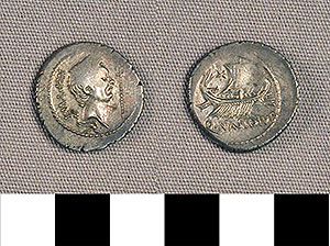 Thumbnail of Coin: Roman Republic, Denarius (1919.63.0907)