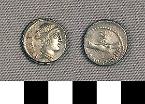 Thumbnail of Coin: Roman Republic, Denarius (1919.63.0913)