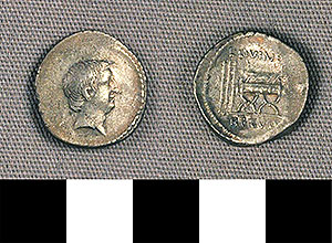 Thumbnail of Coin: Roman Republic, Denarius (1919.63.0932)