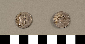 Thumbnail of Coin: Denarius of Rome (1919.63.0945)