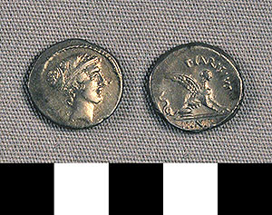 Thumbnail of Coin: Roman Republic, Denarius (1919.63.0961)