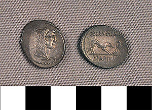 Thumbnail of Coin: Roman Republic, Denarius (1919.63.0963)