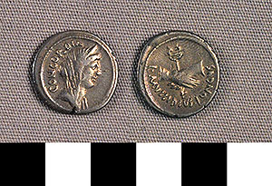 Thumbnail of Coin: Roman Republic, Denarius (1919.63.0972)