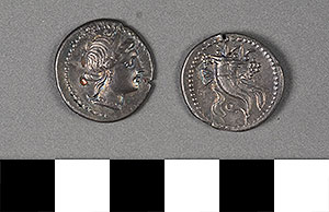 Thumbnail of Coin: Denarius (1919.63.0988)