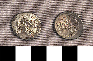 Thumbnail of Coin: Roman Republic, Denarius (1919.63.0989)