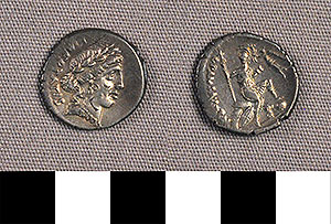 Thumbnail of Coin: Roman Republic, Denarius (1919.63.0991)