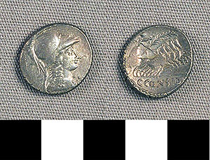 Thumbnail of Coin: Roman Republic, Denarius (1919.63.1008)