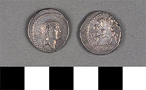 Thumbnail of Coin: Roman Republic, Denarius (1919.63.1034)