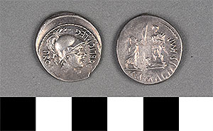 Thumbnail of Coin: Roman Republic, Denarius (1919.63.1036)