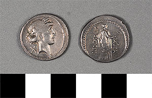 Thumbnail of Coin: Denarius of Rome (1919.63.1037)