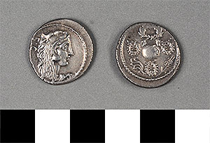 Thumbnail of Coin: Denarius of Rome (1919.63.1045)