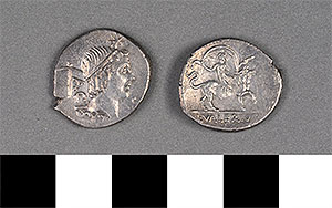 Thumbnail of Coin: Roman Republic, Denarius (1919.63.1047)