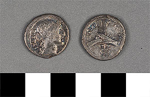 Thumbnail of Coin: Roman Republic, Denarius (1919.63.1111)