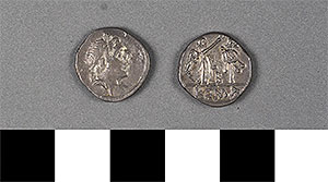 Thumbnail of Coin: Quinarius of Rome (1919.63.1112)