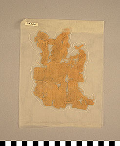 Thumbnail of Shroud Fragment (1923.01.0030)