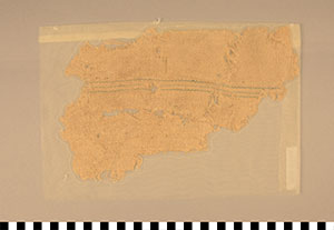 Thumbnail of Shroud Fragment (1923.01.0038)