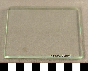 Thumbnail of Microscope Slide Plate (1923.10.0001S)
