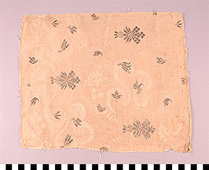 Thumbnail of Material Sample: Cloth Fragment (1925.02.0036)