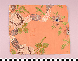 Thumbnail of Material Sample: Cloth Fragment (1925.02.0107)