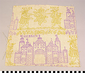 Thumbnail of Material Sample: Cloth Fragment (1925.07.0060)